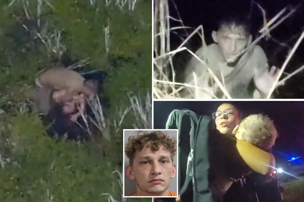 Florida DUI suspect drops baby, toddler into gator-infested swamp while running from cops: video