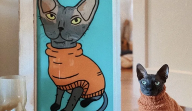 Tampa artist Cory Robinson to make it rain at new 'Cats & Dogs' exhibition