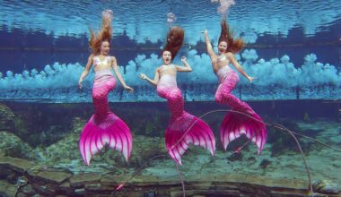 Weeki Wachee Springs State Park Mermaids