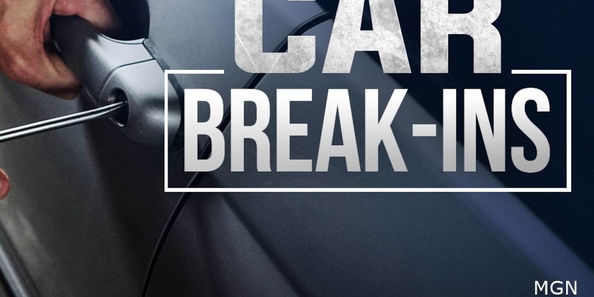 Three teens face charges in connection to several car burglaries in Crawfordville neighborhoods