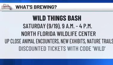 What’s Brewing - Wild Things Bash