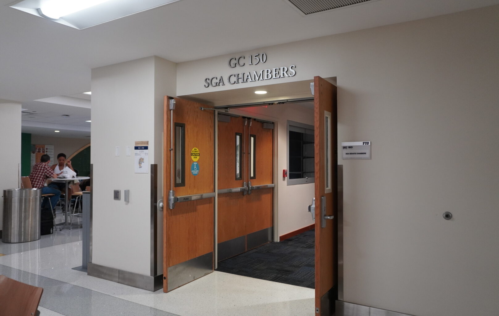 Anti-Ice Resolution Rejected by Internal Affairs Committee