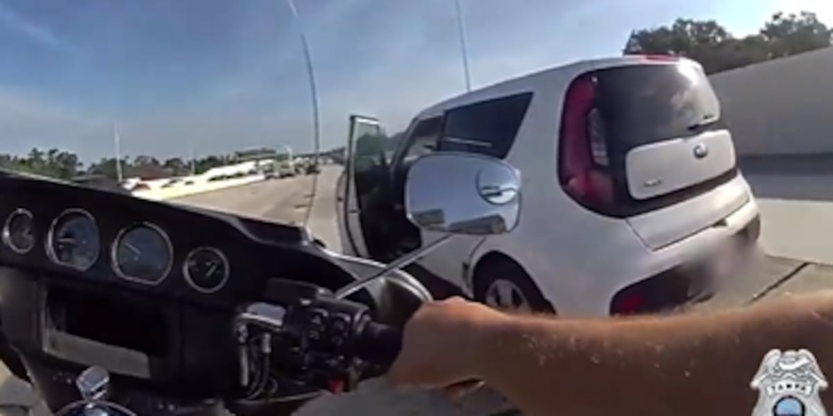 Caught on camera: Teen tries to elude Tampa police after I-275 crash