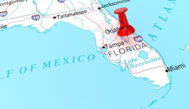 Florida OpenAI
