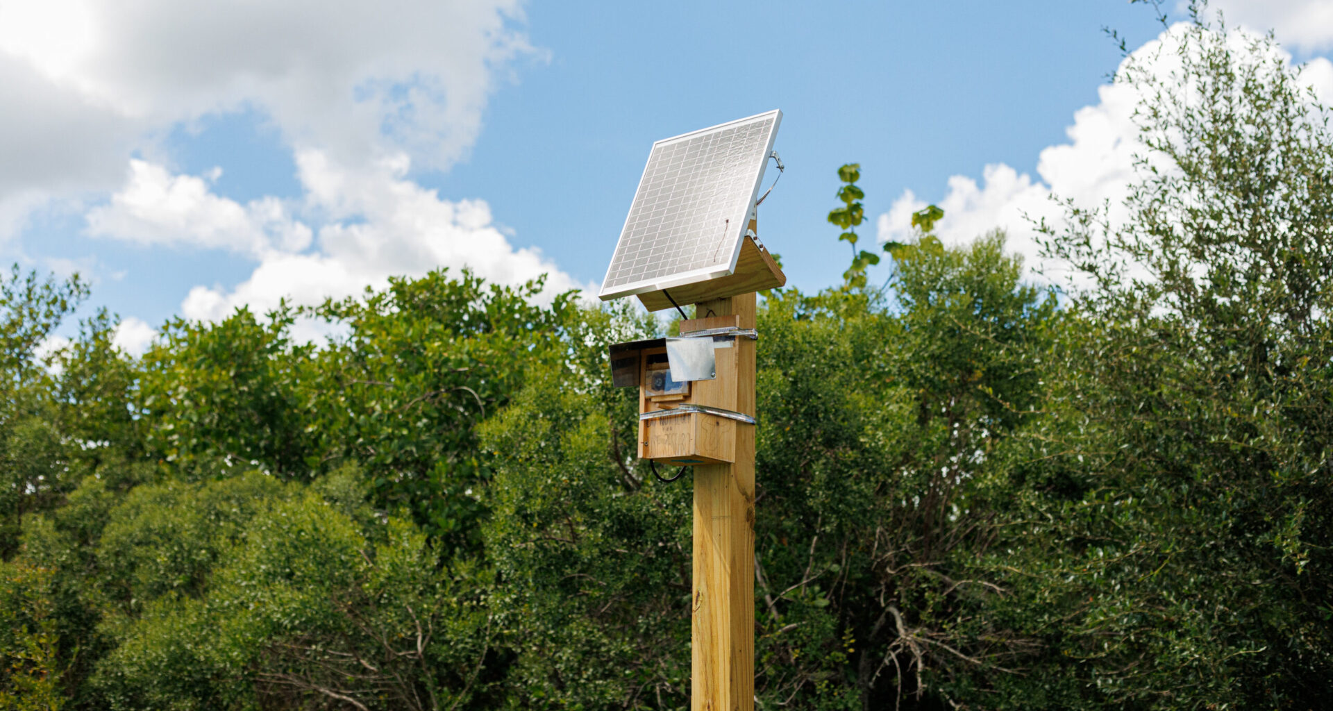USF St. Pete researchers finalizing flood monitoring camera project across Pinellas County