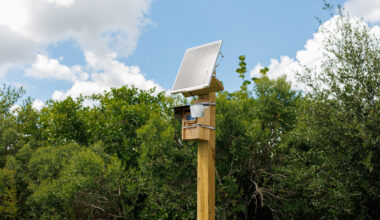 USF St. Pete researchers finalizing flood monitoring camera project across Pinellas County