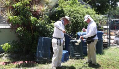 Pasco and Hillsborough Counties Declare Emergency Amid Rising Dengue Cases in Florida