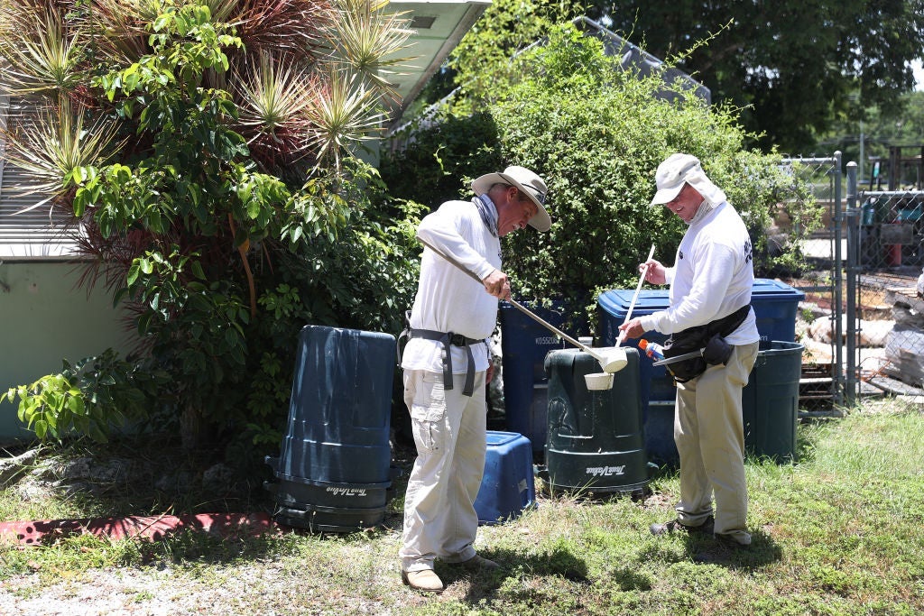 Pasco and Hillsborough Counties Declare Emergency Amid Rising Dengue Cases in Florida