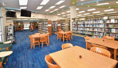 Treasure Island weighs making library users pay