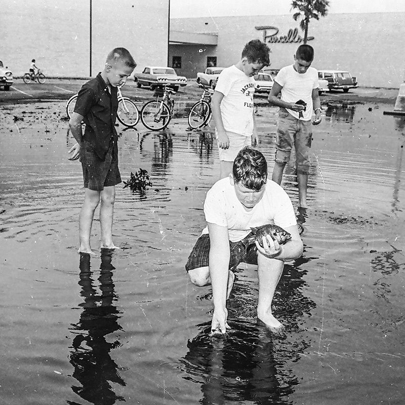 Young boys pluck fish from the parking lot at Purcell’s at the Roosevelt Mall.