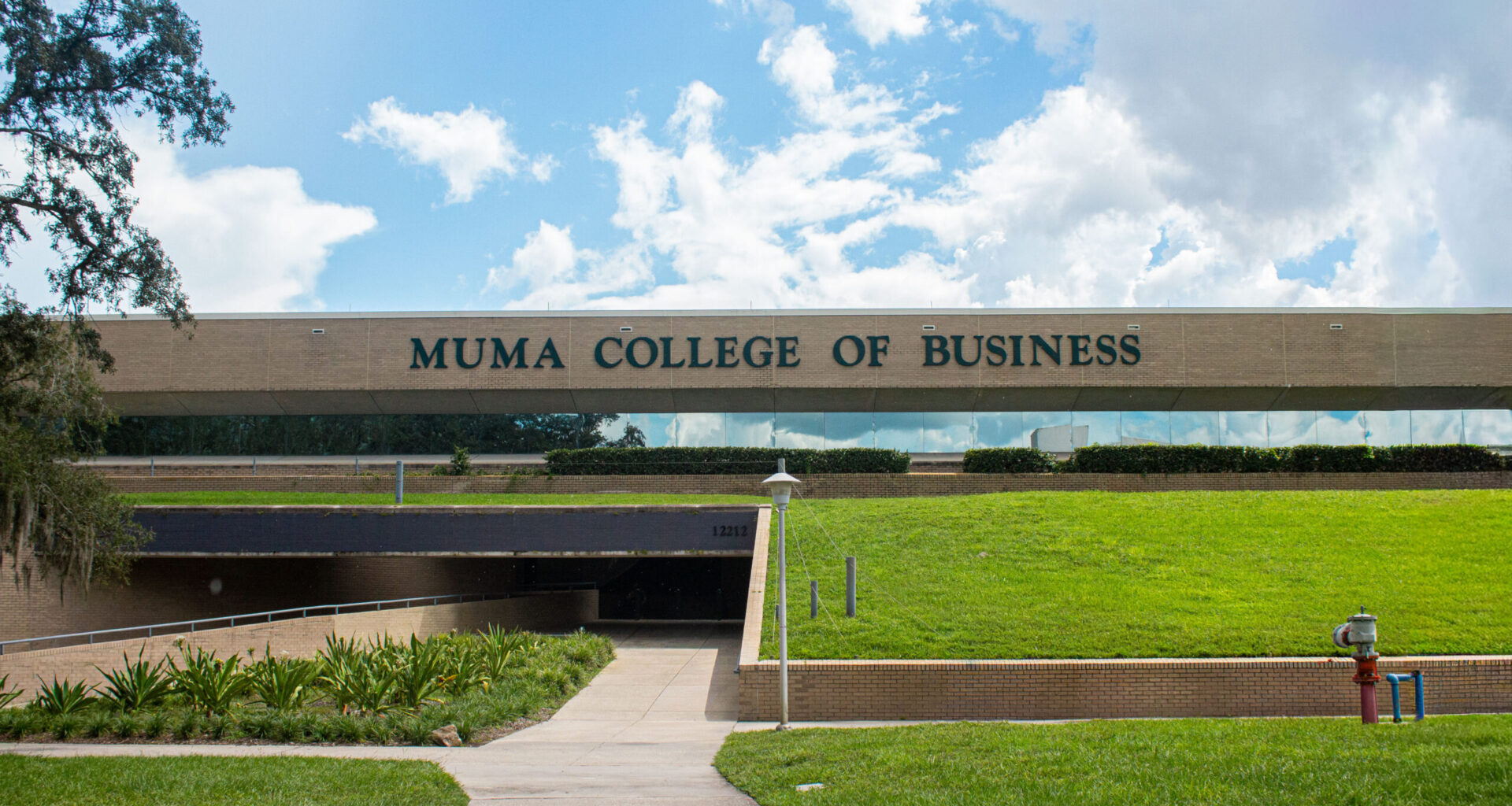 USF alumnus creates university-only marketplace focused on student safety
