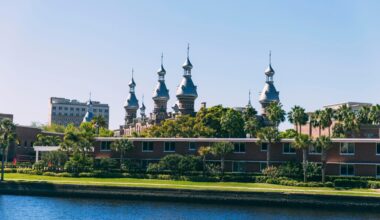 UTampa Introduces AI Course To Boost Student Digital Literacy and Workforce Readiness