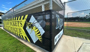Rays could bring new investment to youth baseball program