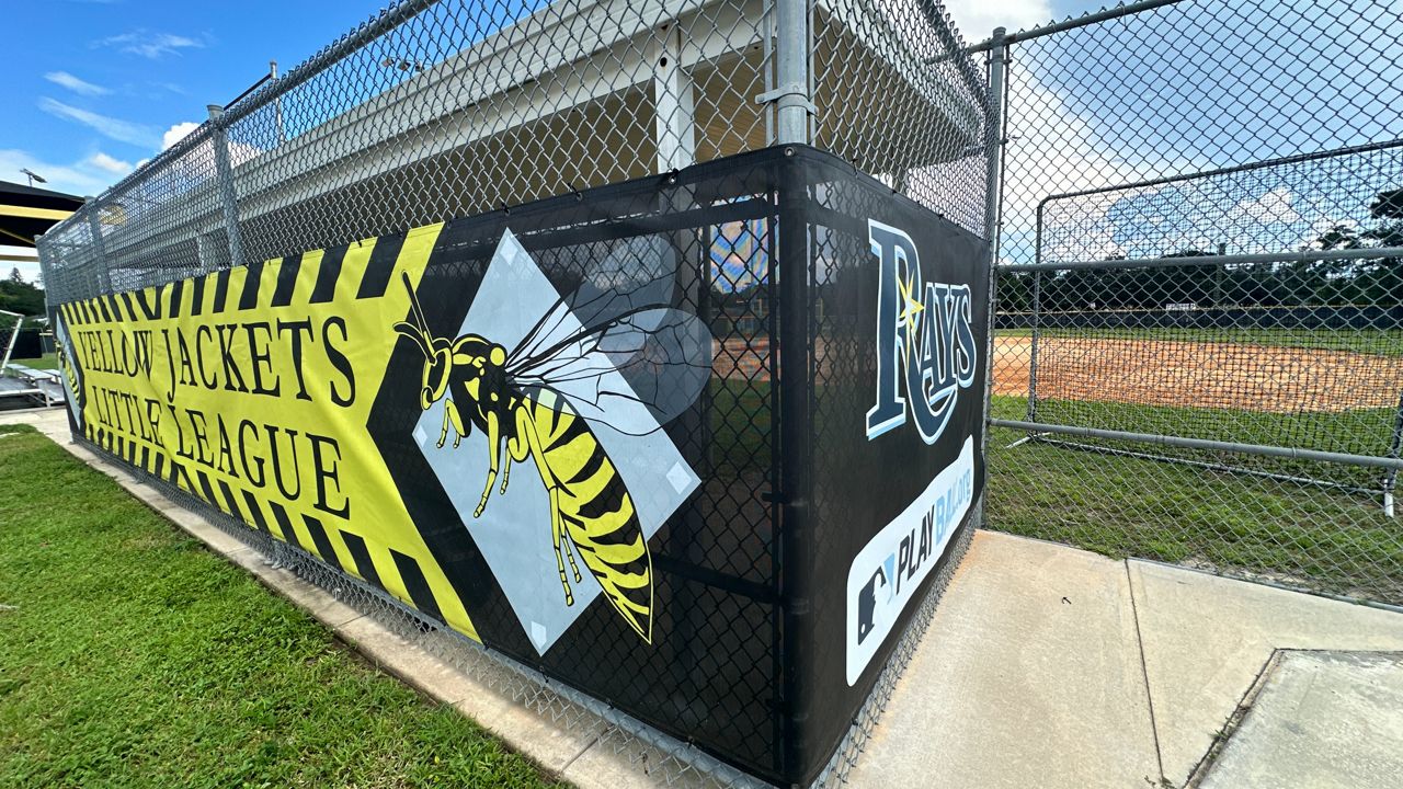 Rays could bring new investment to youth baseball program