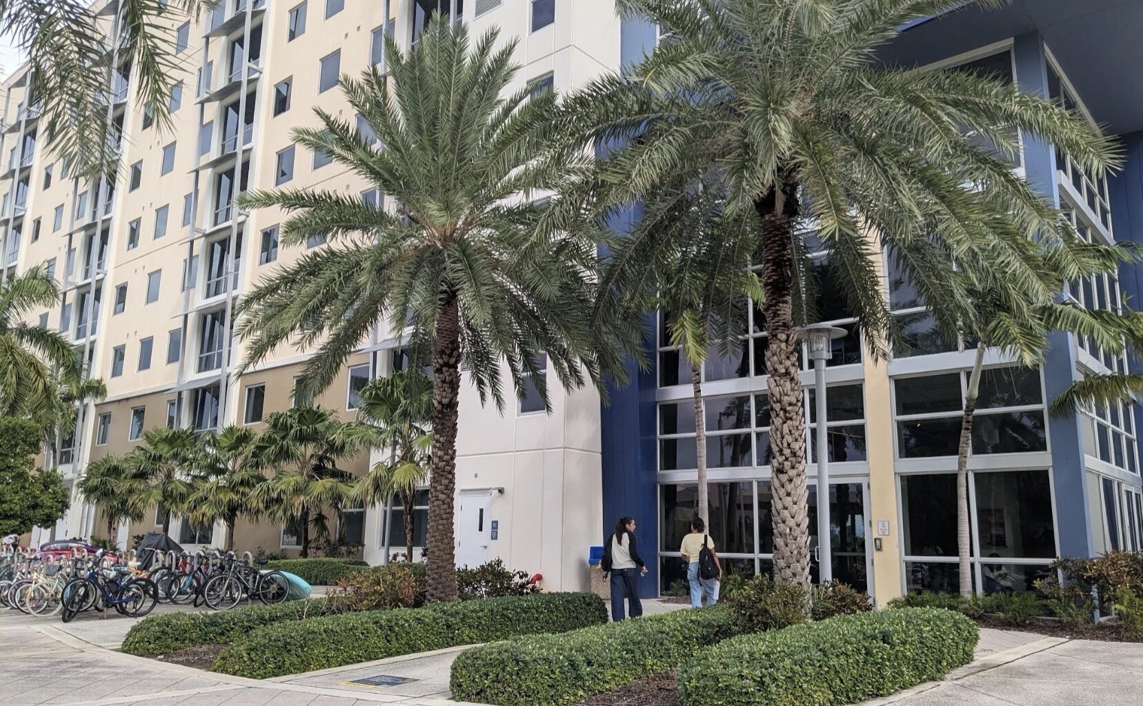 Bayview’s open door: The failures of student housing