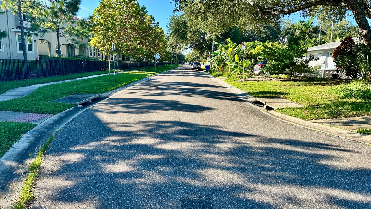 St. Pete to install first HydroPlanter system in $7M project