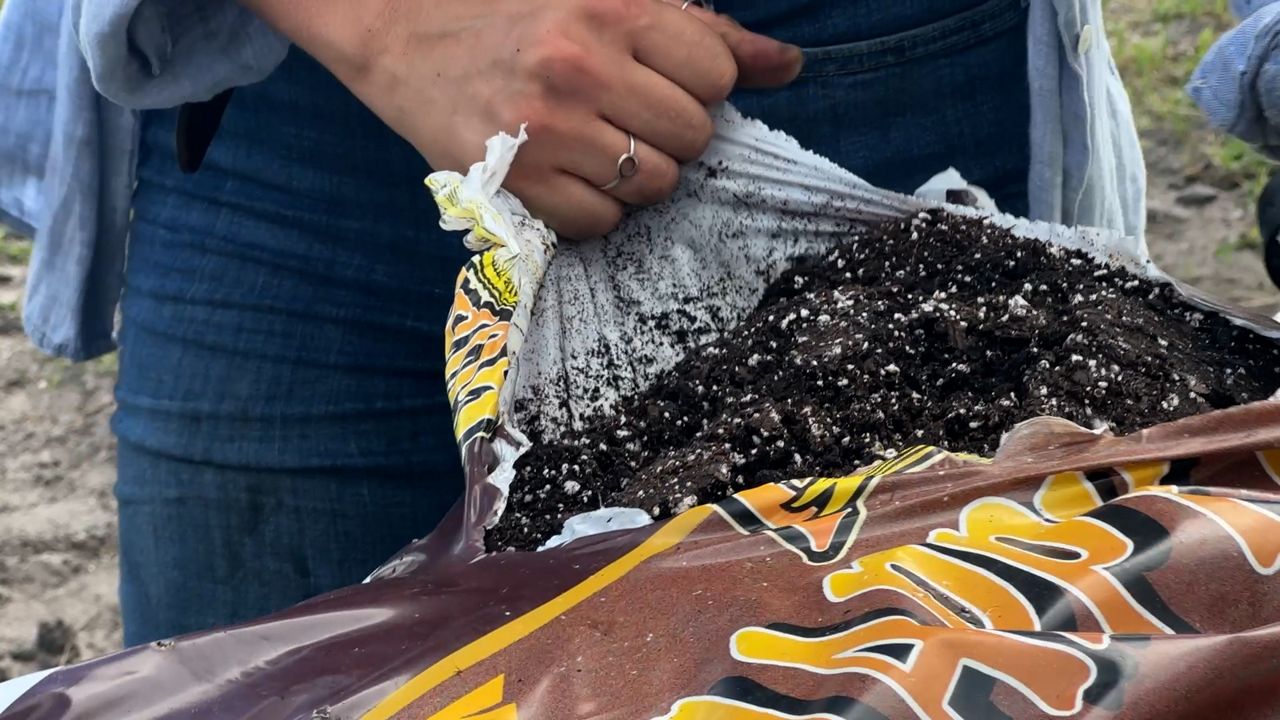 Alexandra Serraro opens a bag of soil during her class. (Spectrum News)