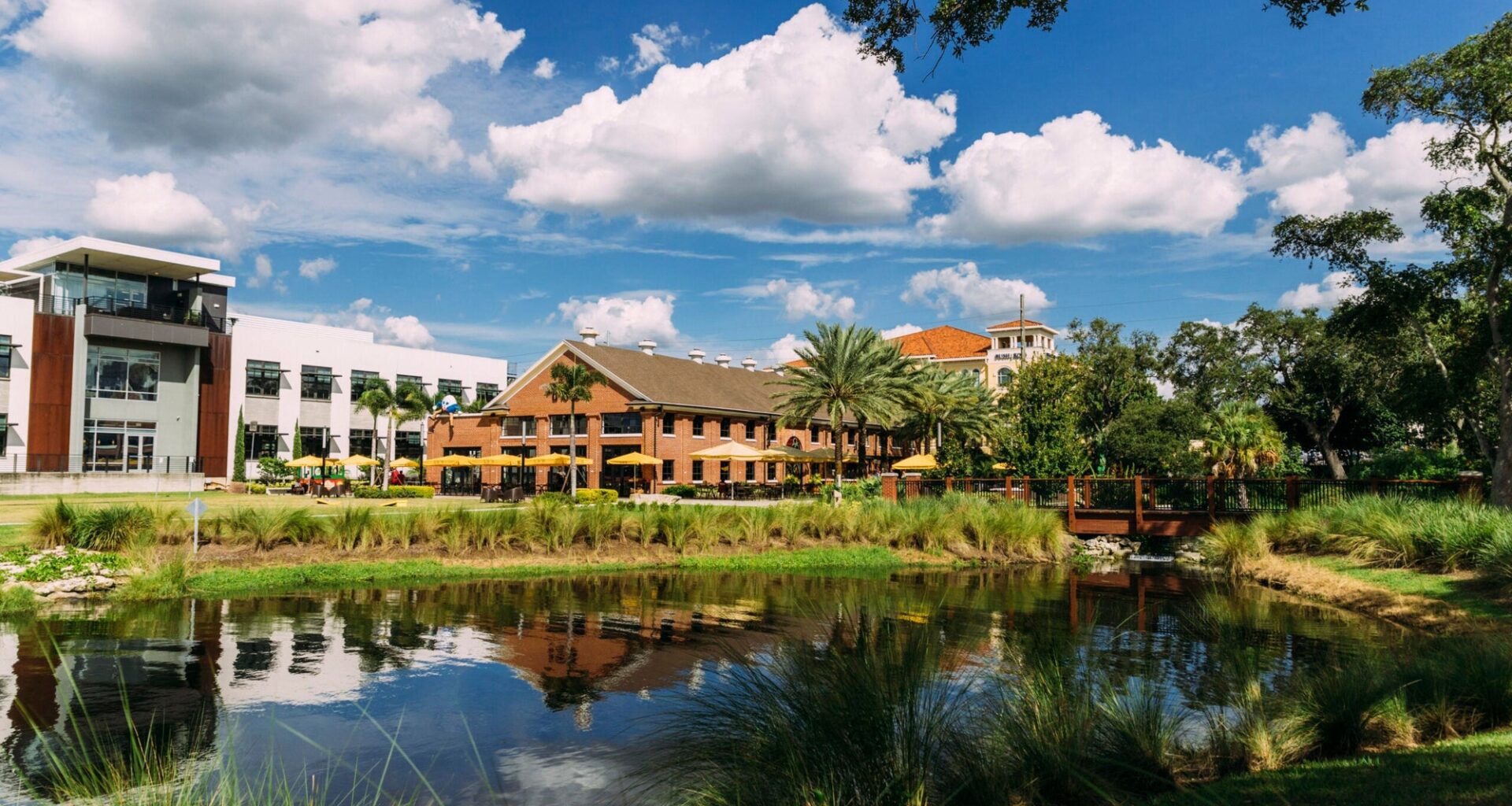 Your Dinner Could Help a Tampa Bay Nonprofit