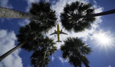 Hidden weapon uncovered in ‘surprise discovery’ at Tampa airport