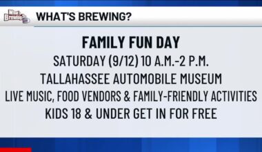 What’s Brewing - Family Fun Day