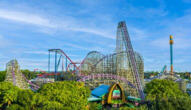 Busch Gardens Tampa Bay Adds Two Asian Elephants in Conservation Plan