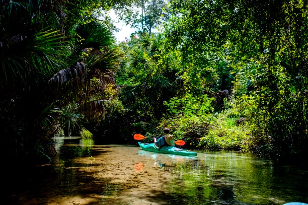 A paddle down Juniper Springs yields beautiful sights of wild Florida.