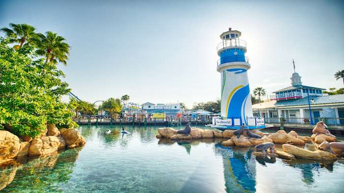 SeaWorld Orlando gives Florida teachers free admission for a full year