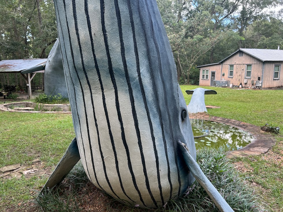 The ‘whale man’ reflects on his unusual marine mammal memorial honoring the lives lost on 9/11