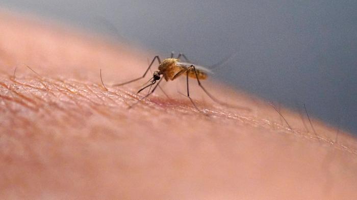 Another case of locally acquired West Nile virus infection reported in Duval County
