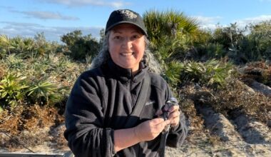 Senior Ecologist and UCF Ph.D. candidate Lauren Deaner holding a Florida Scrub-Jay during a field conservation project Lauren Deaner's Profile. She wears a black University of Central Florida baseball cap and a black fleece jacket, standing in a sunny, sandy coastal scrub landscape.