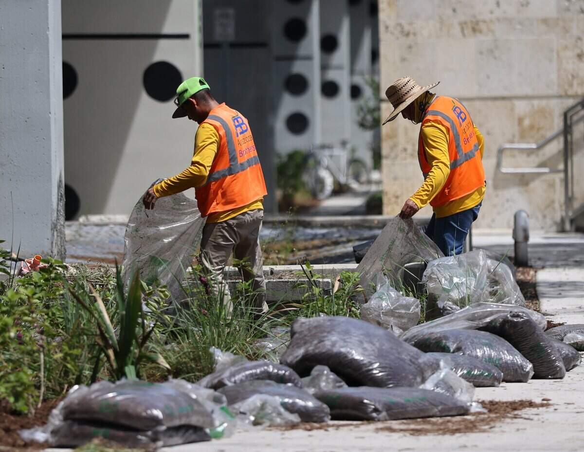 Workers landscape as construction crews continue work on the Coral Gables section of the Underline, a 10-mile linear park and urban trail beneath the Metrorail, Monday, Sept. 14, 2026, in Coral Gables, Fla. The project aims to transform underutilized land into a vibrant public space connecting neighborhoods and promoting walking, cycling and community activities.