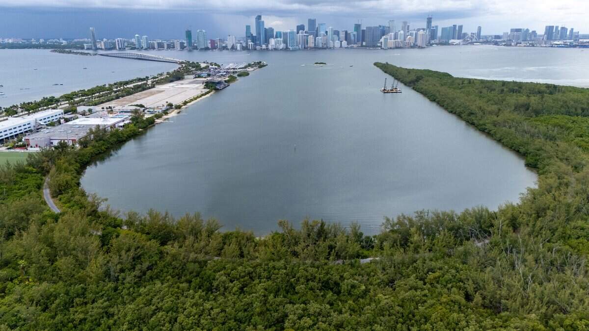 The city of Miami is planning to build out a 195-anchor mooring field in the basin on Virginia Key.