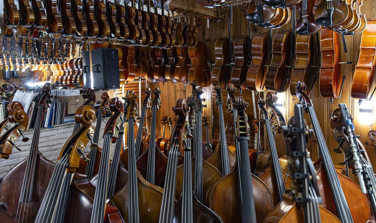 A view inside the Miami String Haus showroom, where many instruments are available for customers on Thursday, Aug. 6, 2026, in El Portal, Fla. Miami String Haus is a home-based luthier shop where customers can buy, repair and maintain string instruments, including violins, violas, cellos and double basses.