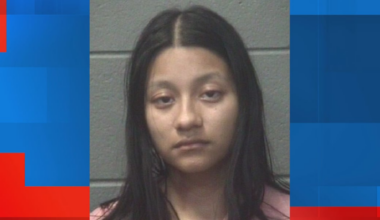 DOCUMENTS: Jacksonville woman arrested for assault with butcher knife