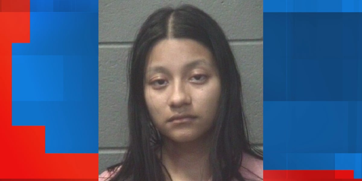 DOCUMENTS: Jacksonville woman arrested for assault with butcher knife
