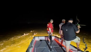 This Florida Angler Saw Dolphins as a Nuisance. Now They’re His Hunting Buddies.