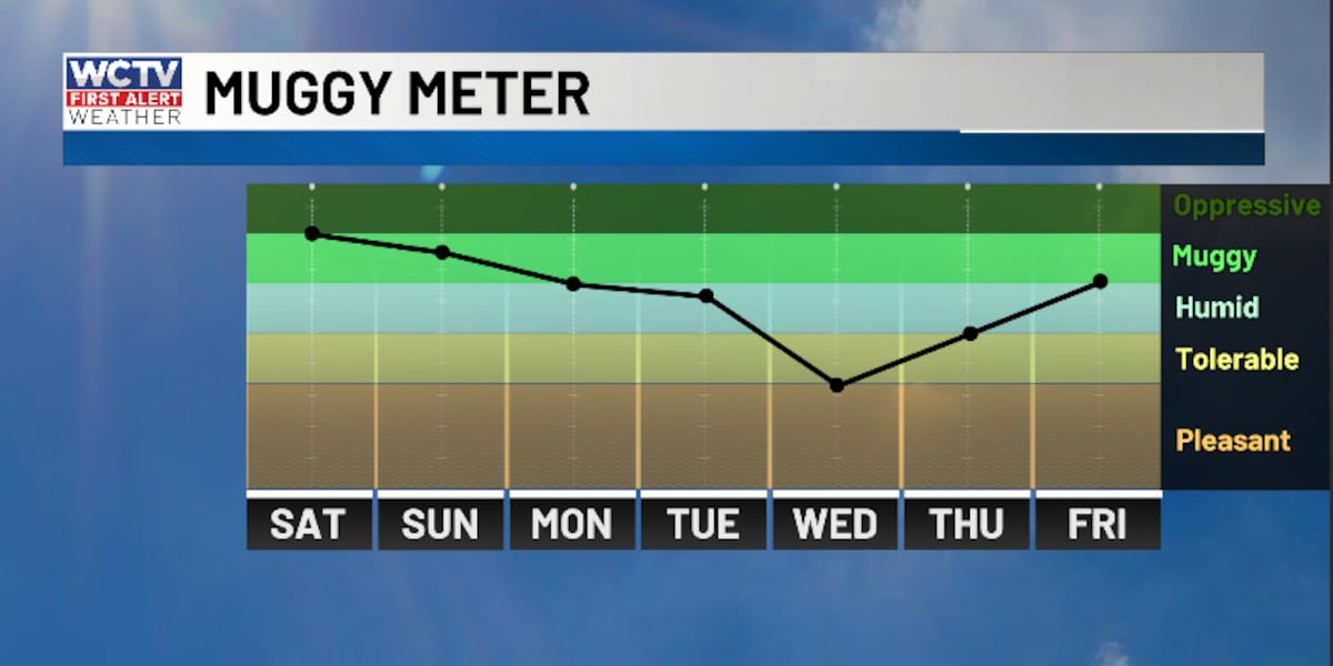 Summer heat lingers early in the week before some humidity relief