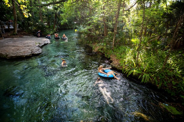 Visitors enjoy the swimming area and tube run in Rock Springs at Kelly Park in Apopka in 2021. (Patrick Connolly/Orlando Sentinel)