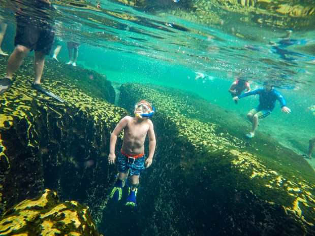 Snorkelers explore the second-magnitude spring boil at Wekiwa Springs State Park on Tuesday, June 22, 2021. (Patrick Connolly/Orlando Sentinel)