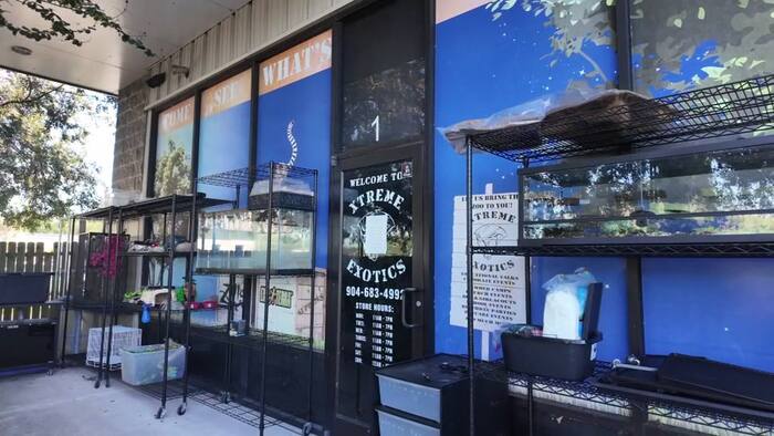 ‘The whole thing is devastating’: Exotic pet store owner seeks answers after puppy, bearded dragon stolen