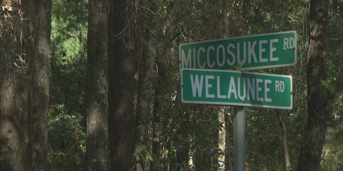 Residents seek more information on proposed Welaunee Arch development in northeast Tallahassee