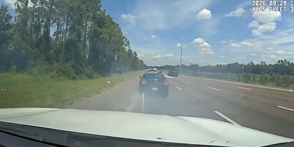 Felony suspect arrested after deputies use Grappler device on I-75