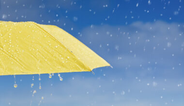 article image -