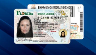 Florida rolls out redesigned driver licenses, ID cards