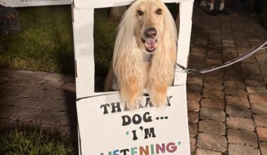 Responsible Dog Ownership Day in Fort Pierce to support shelter pets and educate families