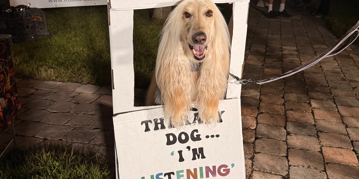 Responsible Dog Ownership Day in Fort Pierce to support shelter pets and educate families