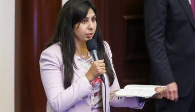 Anna Eskamani looks to yank promoter's license after Nazi demonstration at Orlando MMA event