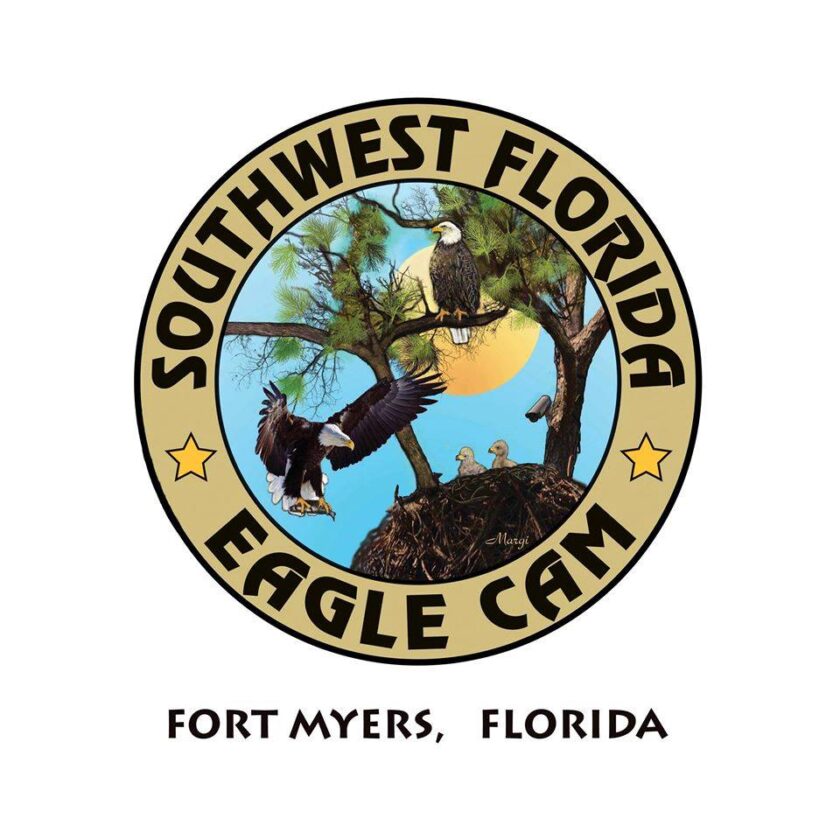 Southwest Florida Eagle Cam set to go live Oct. 1 | News, Sports, Jobs