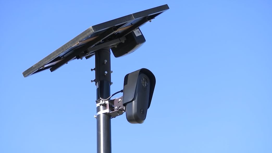 Belle Isle weighs options after dropping license readers