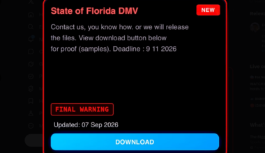 Hack to the future: Florida driver's licenses and Seminole's elections page make an unwelcome post-Labor Day double play
